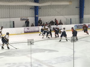 The Wolves face off during their first game at the Michigan Public High School Hockey Showcase last week. Photo provided