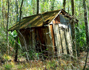 I went on-line to find out what kind of place I can find out in the woods. This came up. #DonsNewDigs