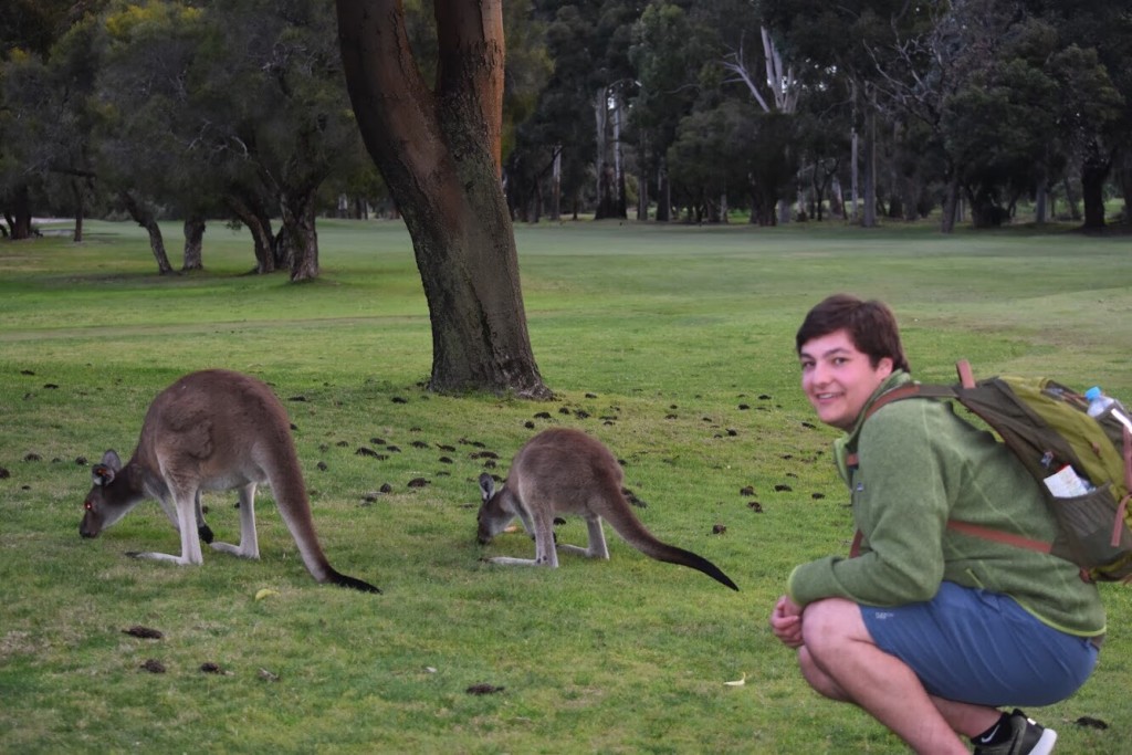 Clarkston High School grad Maxwell Palese visiting with “locals” in Perth, Western Australia. Photo provided