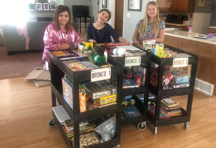 Girl Scouts earn bronze with projects
