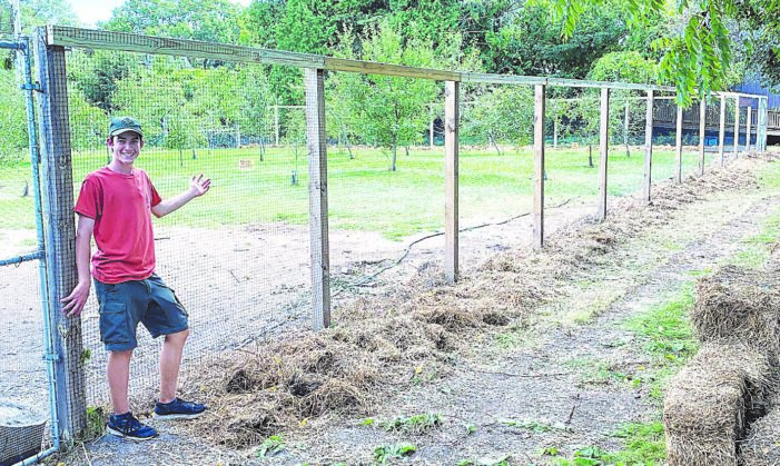Local scout project to benefit Clarkston Family Farm