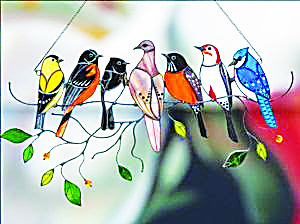 Next Birders meeting